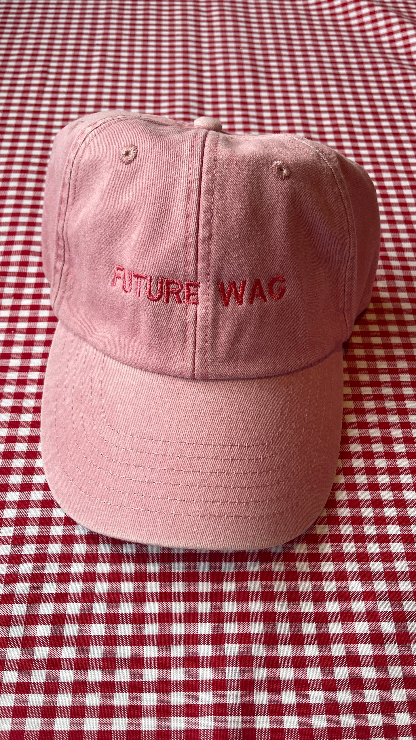 Furture Wag Cap